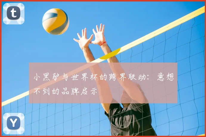 小黑驴与世界杯的跨界联动：意想不到的品牌启示
