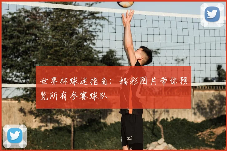 世界杯球迷指南：精彩图片带你预览所有参赛球队