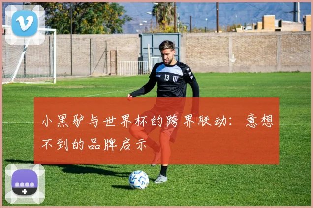 小黑驴与世界杯的跨界联动：意想不到的品牌启示
