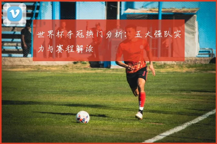 世界杯夺冠热门分析：五大强队实力与赛程解读
